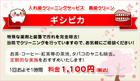 入れ歯クリーニングサービス　義歯クリーン ギシピカ