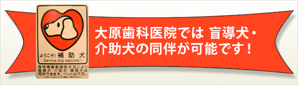大原歯科医院では
盲導犬・介助犬の同伴が可能です！